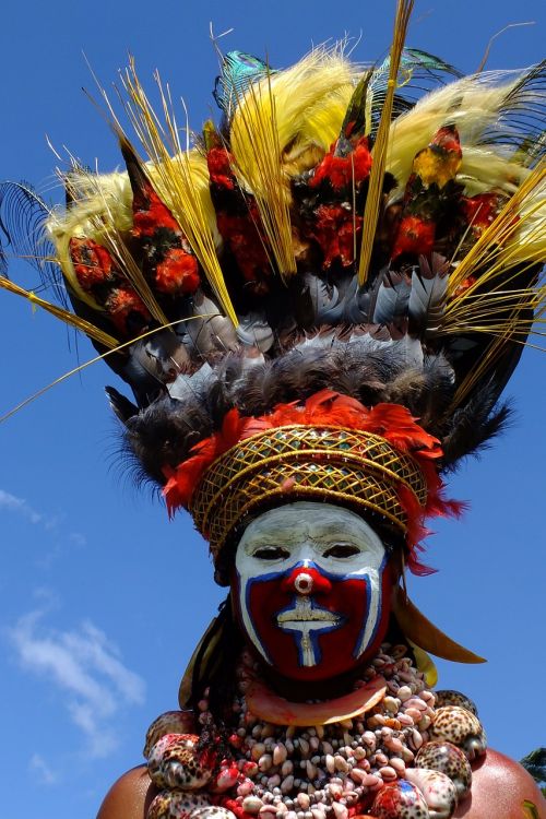 costume painted feathers