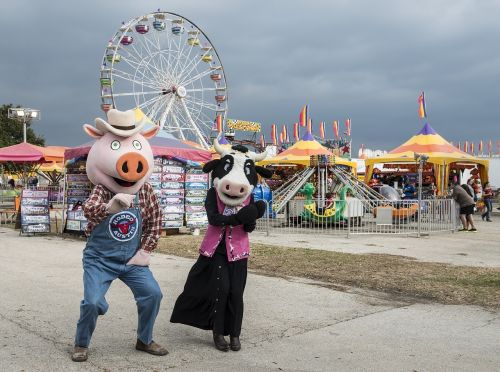 costumed pig and cow characters carnival