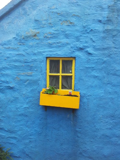 cottage window ireland