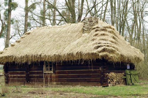 cottage thatched the roof of the
