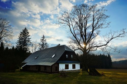 cottage the vysočina region tree