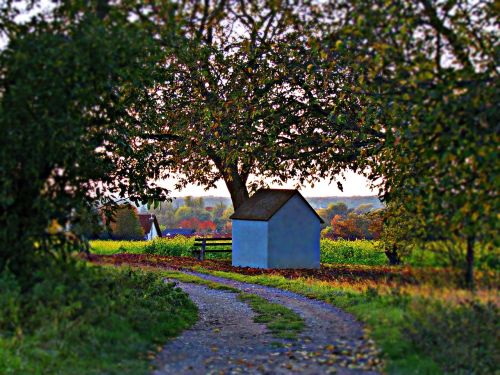 cottage chapel the path