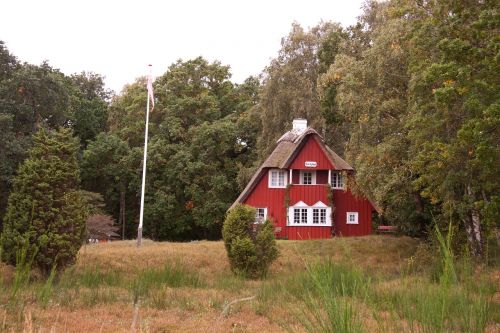 cottage plot trees