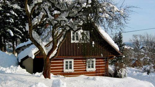 cottage wooden house folk architecture