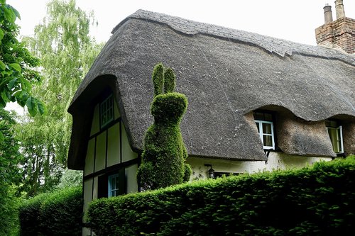 cottage  village  house