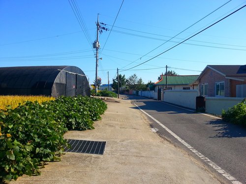 cottage  nonsan  country road