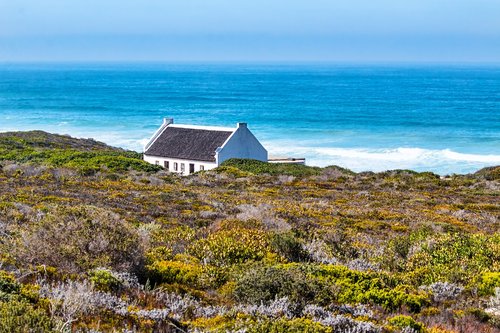 cottage  seaside  bush