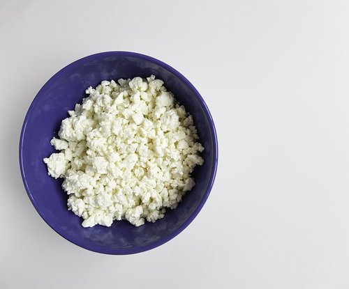 cottage cheese  dairy products  nutrition