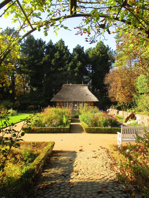 cottage garden autumn garden