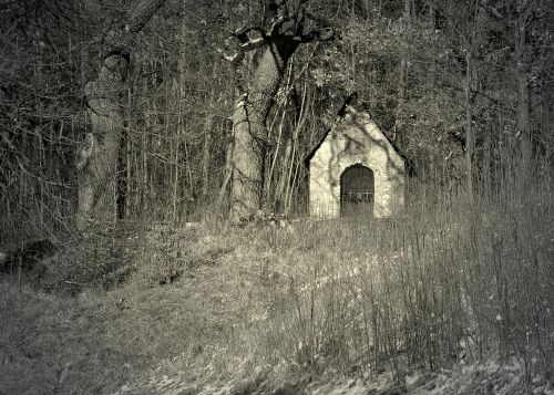 cottage in the forest winter stone house