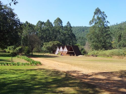 cottages forest tourism