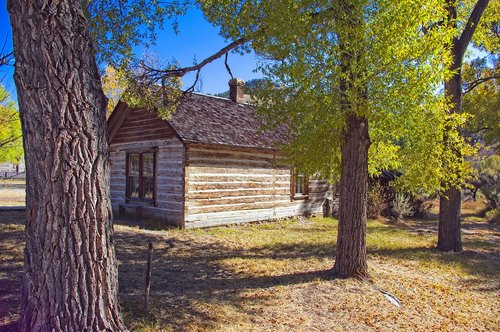 cottonwoods and abandoned home  ghost  town