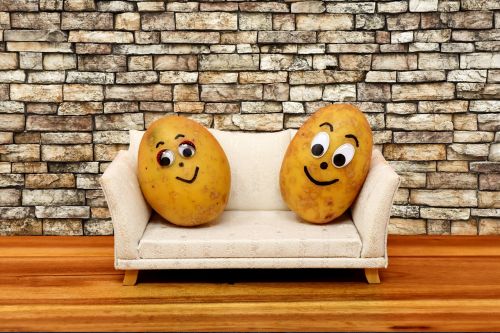 couch potatoes funny potatoes