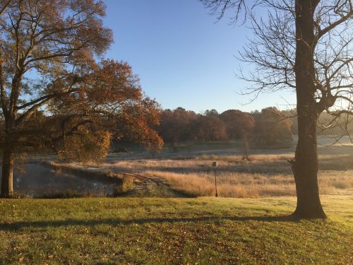 country lake landscape