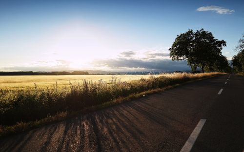 path sunset landscape