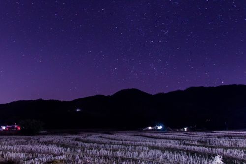 country night view fields