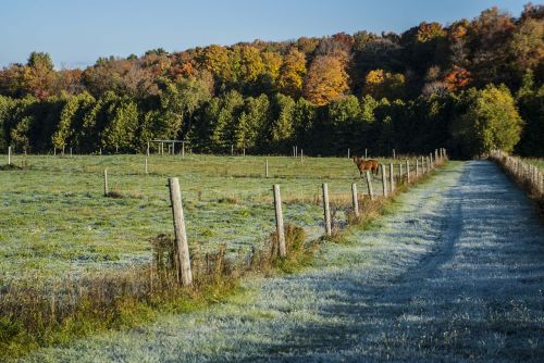 country rural landscape