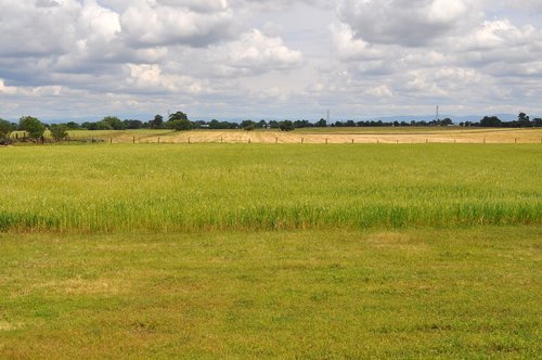 country  field  nature