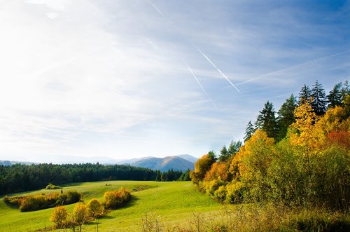 country  nature  trees