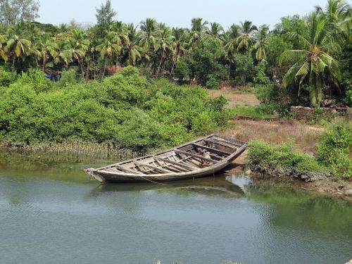 country boat tidal creek coconut groves