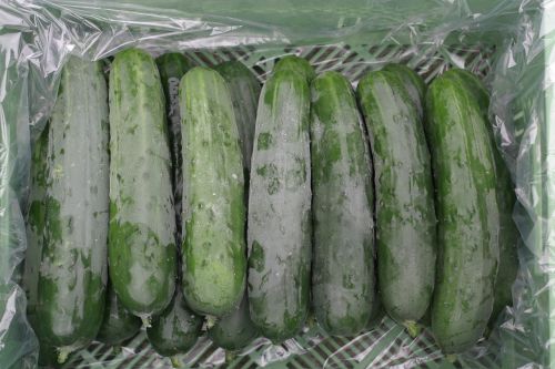country cucumber cucumbers vegetables