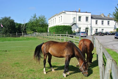 country house horses country