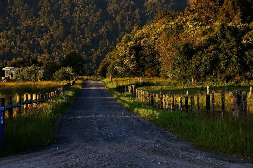 country lane road landscape