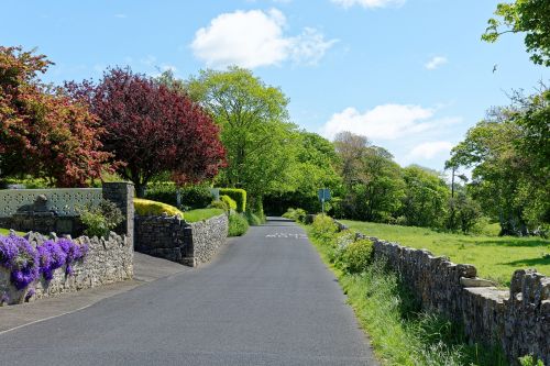 country lane countryside landscape