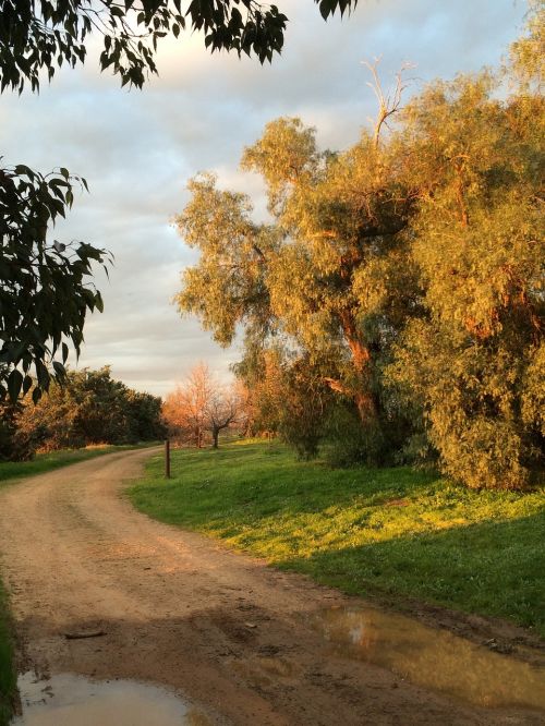 country road dirt track track