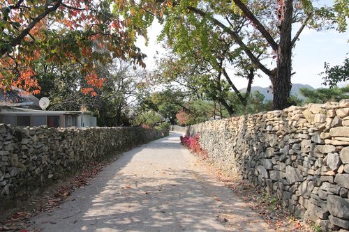 country road  stone wall