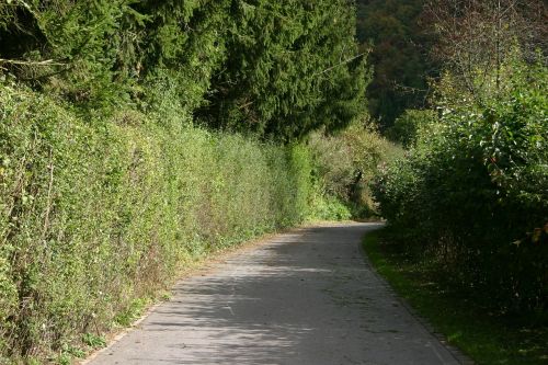 country road road walkway
