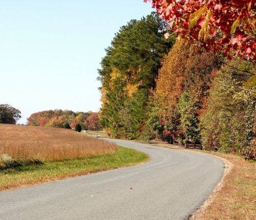 country road lane street