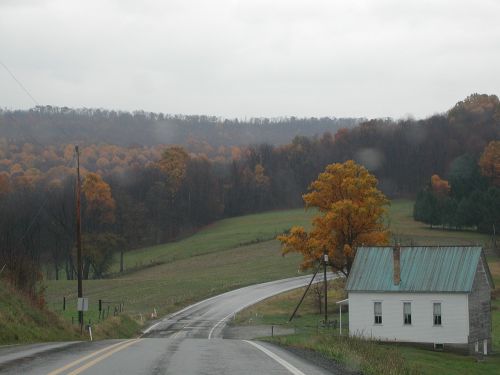 country road fall forest