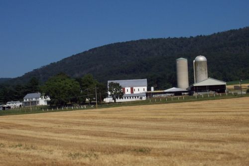 Country Side View