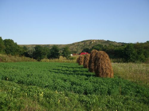 countryside rural haystacks
