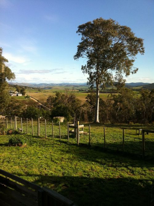 countryside view tasmania
