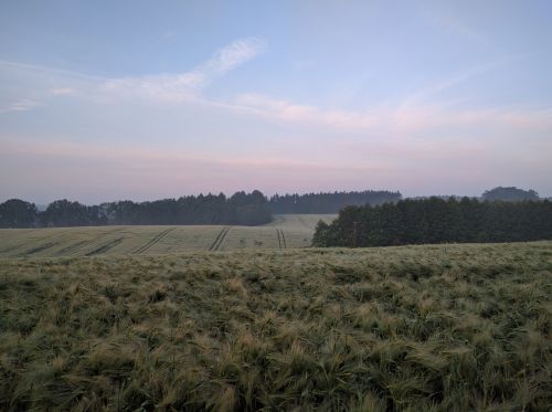 countryside farm farmland