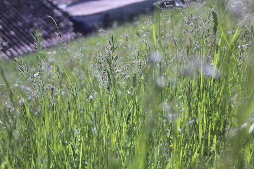 countryside france nature