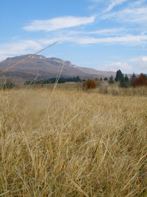 countryside grasslands mountain