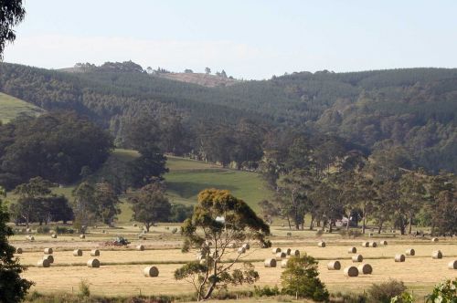 countryside hay farming