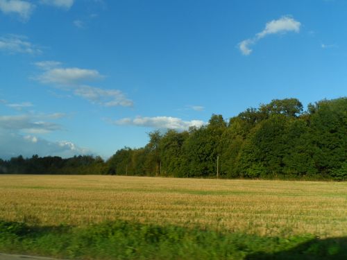 Countryside Highway Trees View