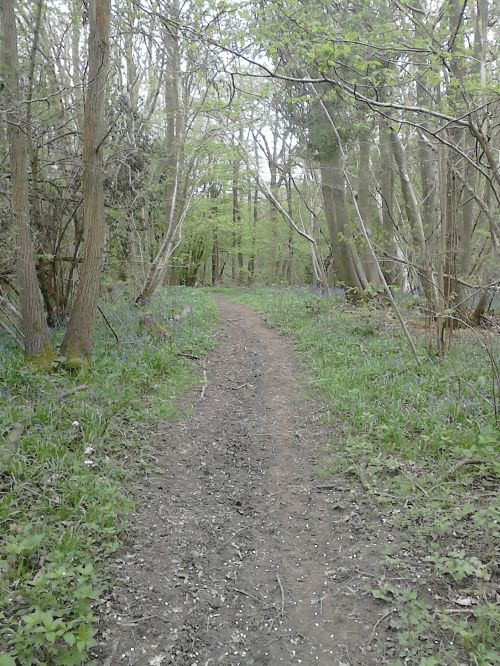 Countryside Path