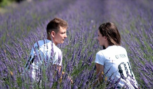 couple lavender love