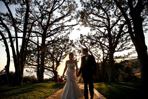 couple wedding day trees