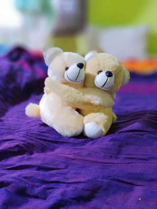 couple teddy  cute  love