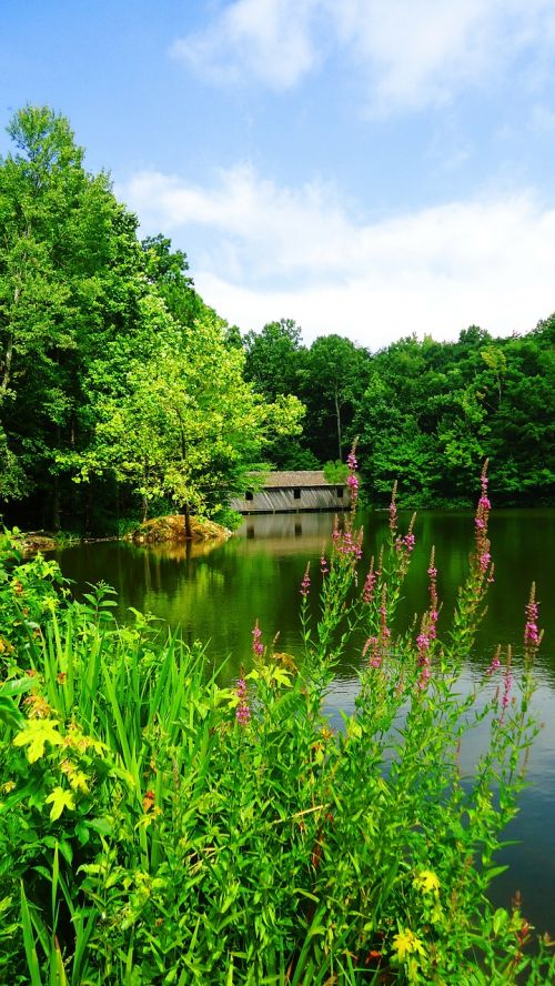 covered bridge alabama lake