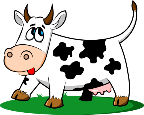 cow animal livestock