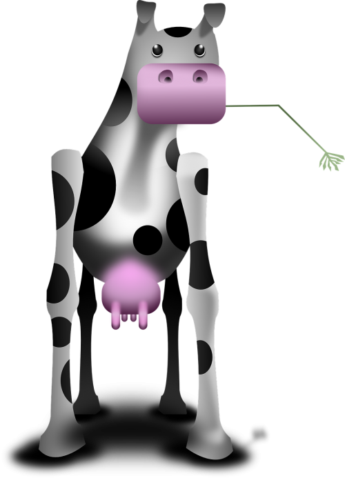 cow agriculture animal