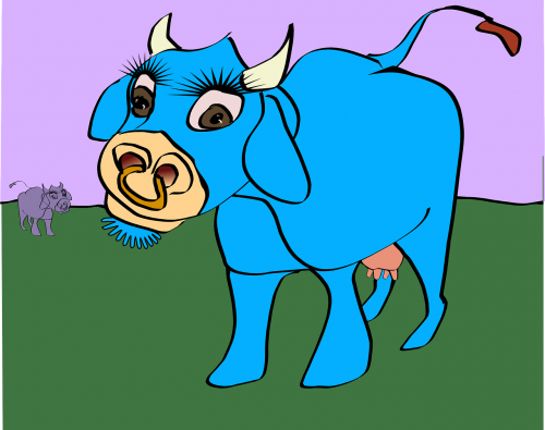 cow animal blue