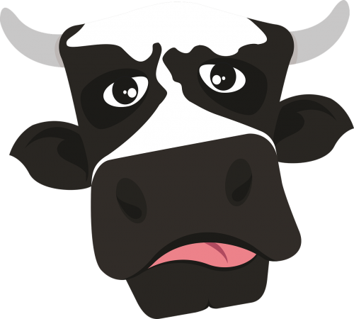 cow moo vegan